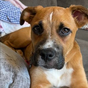 Meet your Posher, Paul